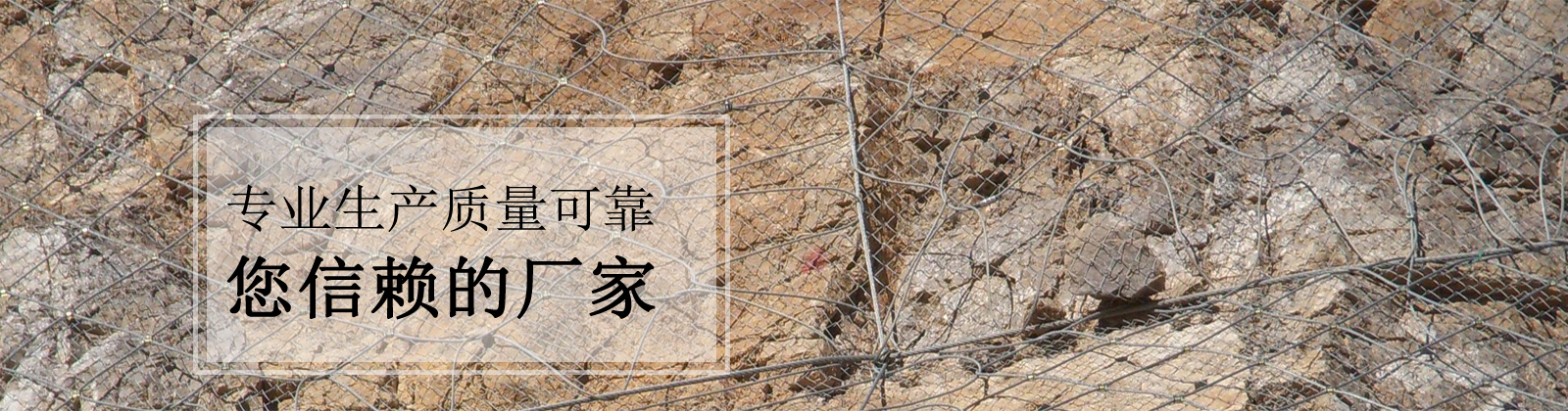 公司新聞